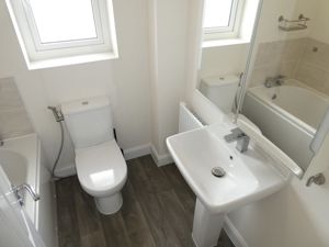 Picture 14