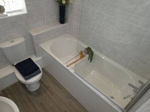 Picture 14