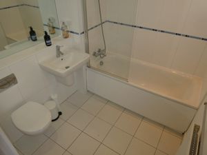 Picture 12