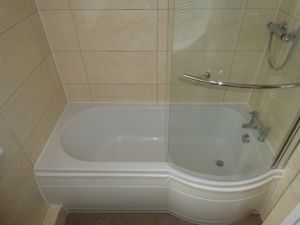 Picture 9