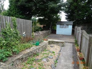 Picture 11