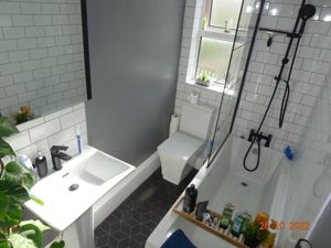 Picture 12