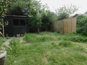 Picture 10