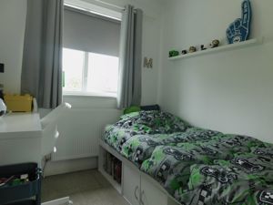 Picture 13