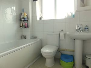 Picture 14