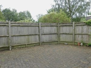 Picture 14