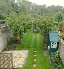 Picture 14