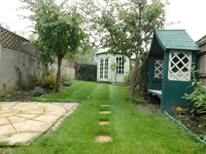 Picture 16