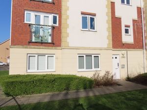 Picture 13