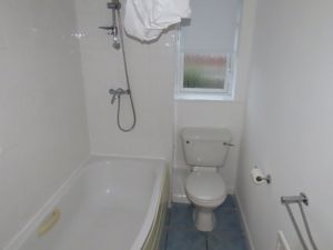 Picture 13