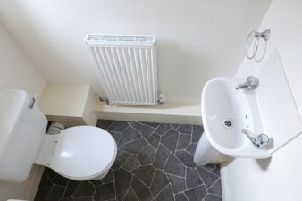Picture 7