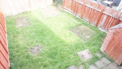 Picture 16