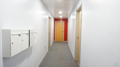 Picture 11