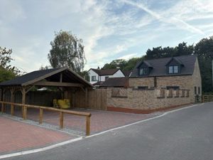 Picture 20