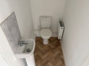 Picture 8