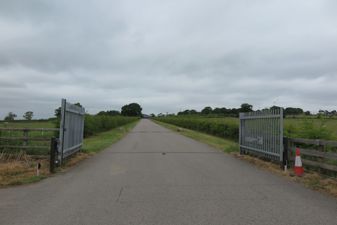 Picture 8