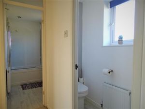 Picture 11