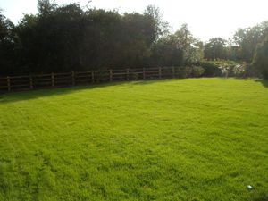 Picture 7