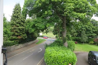Picture 12