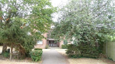 Picture 11