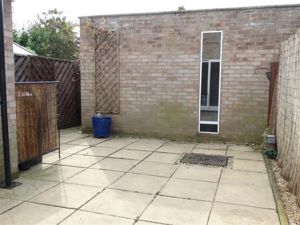 Picture 13