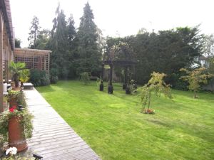 Picture 10