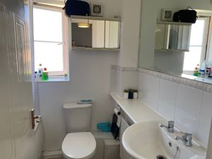Picture 11
