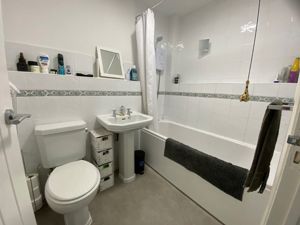 Picture 5