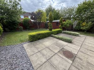 Picture 10