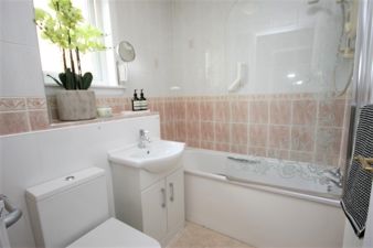 Picture 10