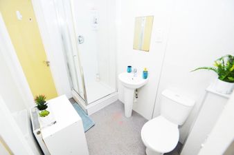 Picture 12