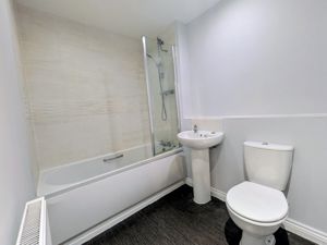 Picture 12