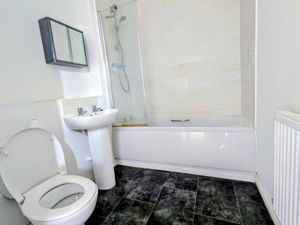 Picture 11
