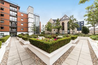Picture 5