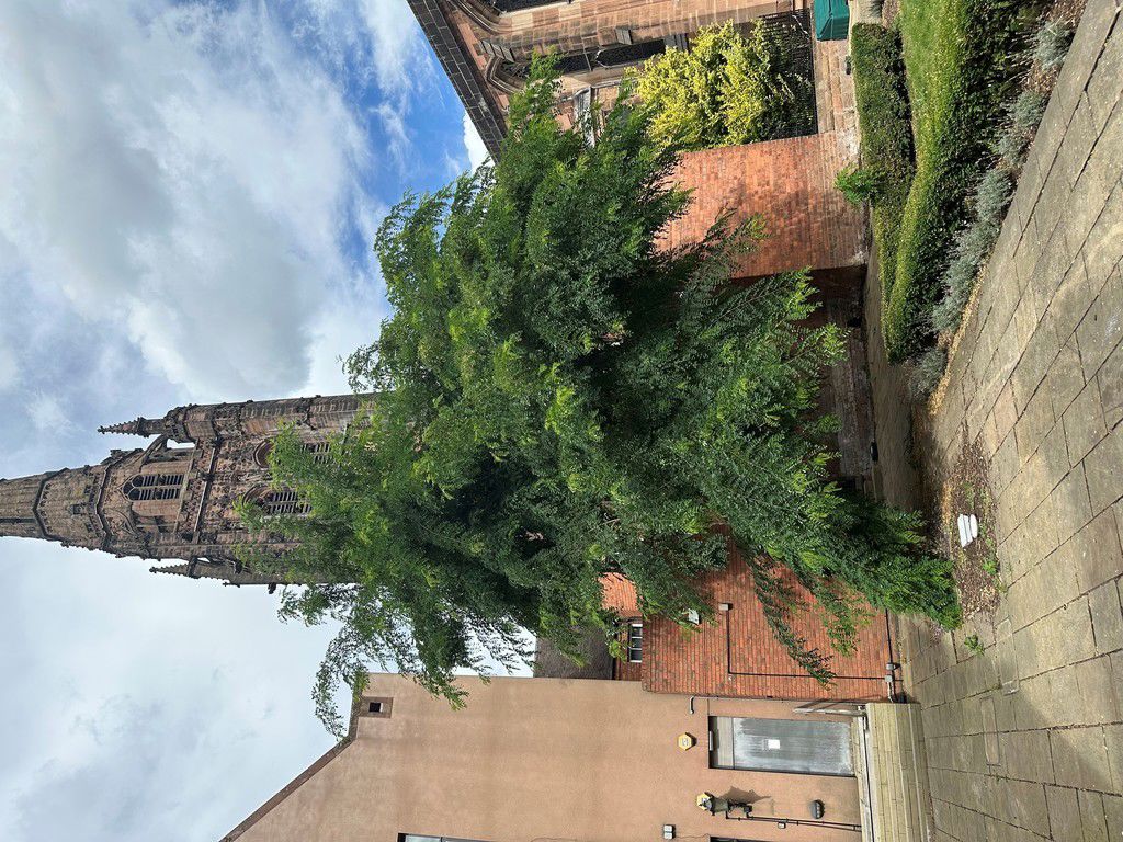 Image of Castle Yard Studio 7, Coventry