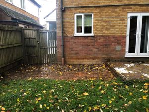 Picture 11