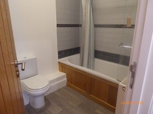 Picture 8
