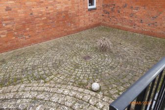 Picture 19