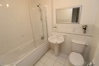 Picture 24