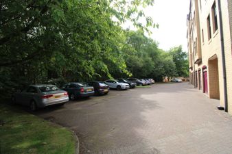 Picture 29