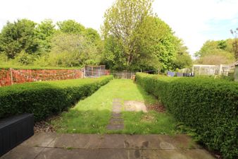 Picture 22