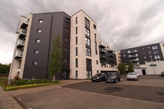 Picture 17