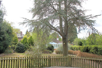 Picture 26
