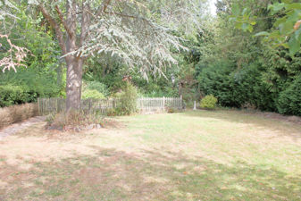 Picture 25