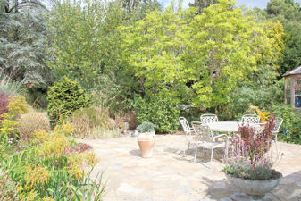 Picture 23
