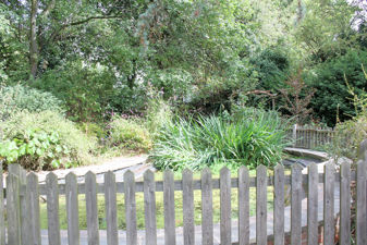 Picture 27