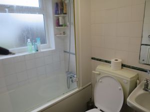 Picture 14