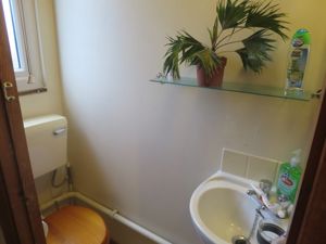 Picture 15