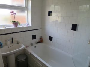 Picture 5