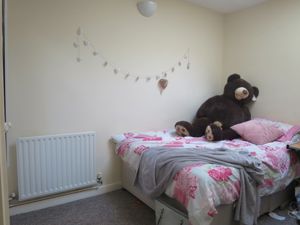 Picture 9